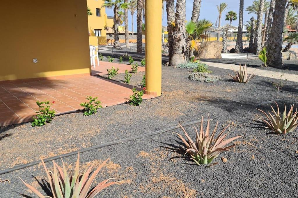 Beautiful Garden Flat Nearly Refurbished Free Wifi Apartment Corralejo Ngoại thất bức ảnh